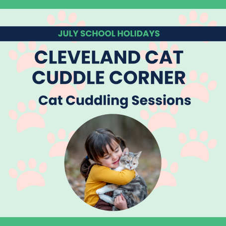 Cat Cuddle Sessions